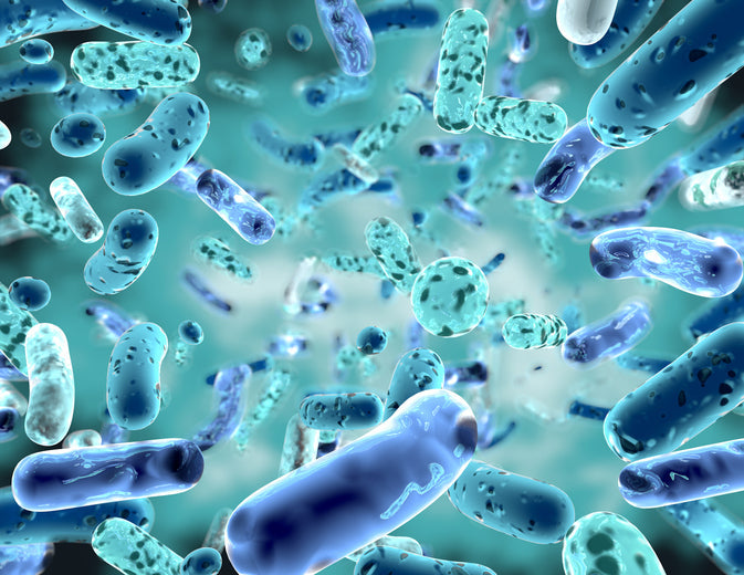 PROBIOTICS AND  PREBIOTICS